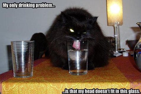 Kitty has a drinking problem